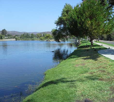 the next slider image