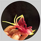 Garnishes and other beautiful items.